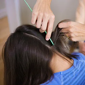 check for head lice at lice clinic of america south central