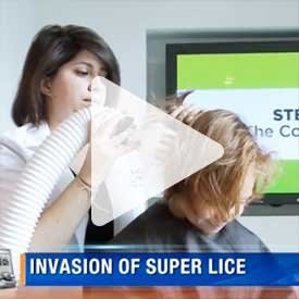 Thumbnail image for the invasion of super lice news clip