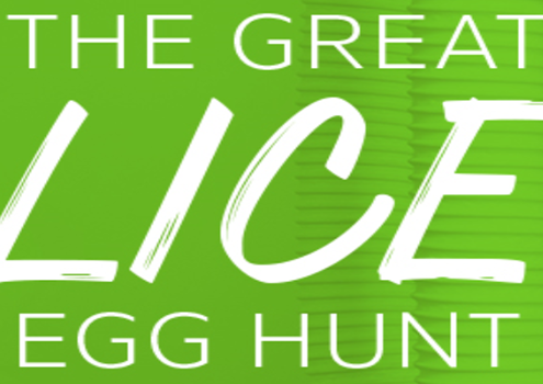 The Great Lice Egg Hunt In South Central MS