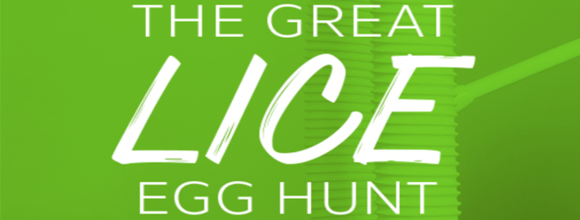 The Great Lice Egg Hunt In South Central MS
